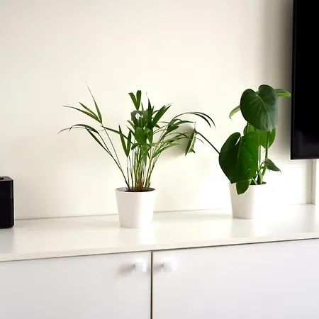 Apartamento Sea View Ostende