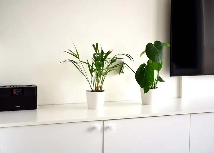 Appartement Sea View Ostende